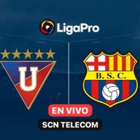 Publicación de SCN TELECOM en Instagram